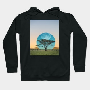 Moon Tree Hoodie